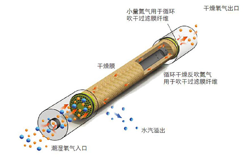 SR醫(yī)療制氧機專用精密氧氣干燥膜原理圖